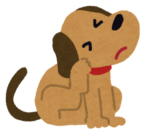 愛犬のフケが増えたら要注意 原因や対策は 病気の可能性も