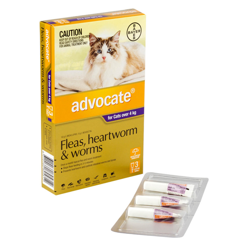 アドボケート（ADVOCATE）小型猫用/大型猫用