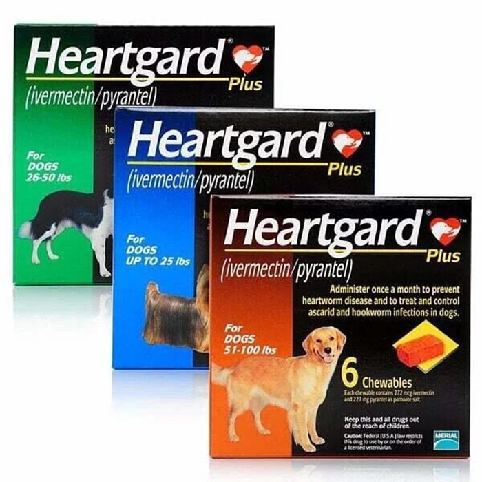ハートガードプラス(HEARTGARDPLUS)小型犬用/中型犬用/大型犬用